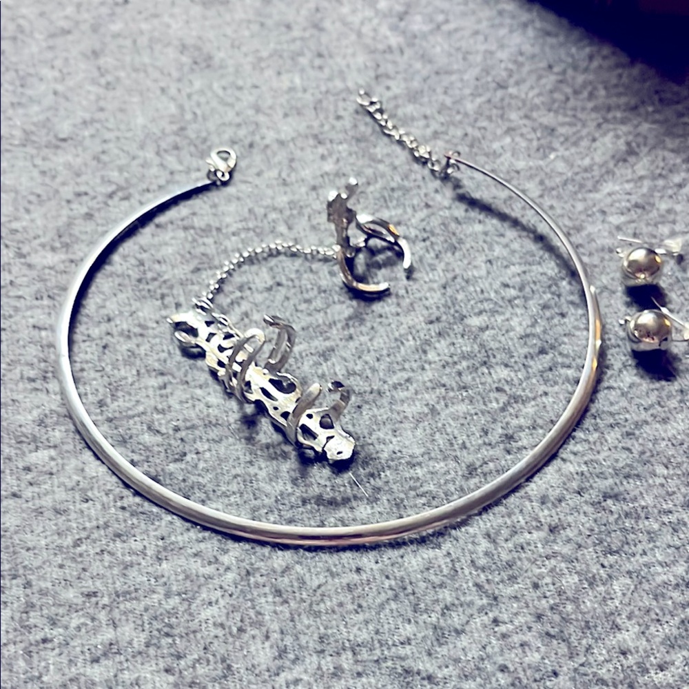 Elegant Silver Necklace and Earring Set